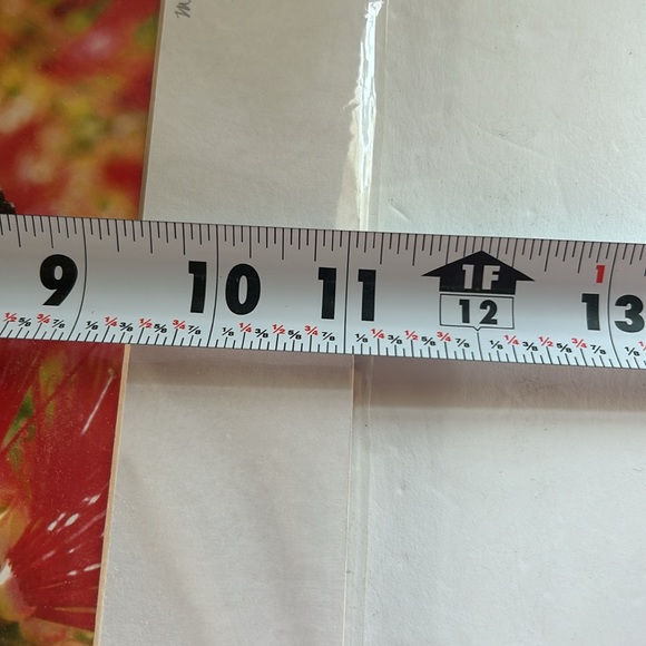 Monarch Butterfly Photo - Picture 4 of 7